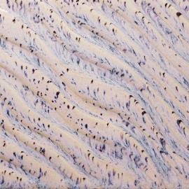 Aurora Breeze - 16oz Amaco Potters Choice Flux Cone 5 Glaze Aurora Breeze - 16oz Amaco Potters Choice Flux Cone 5 Glaze